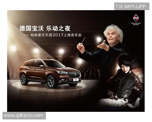 欧洲杯赛事影响力及赞助商合作分析