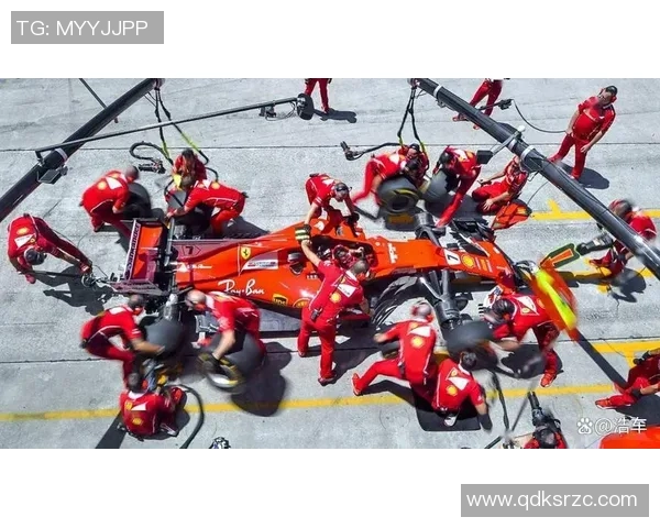 F1车手赛季表现及其背后团队支持